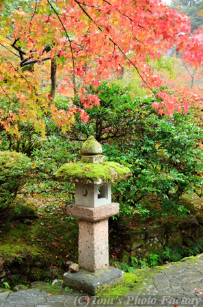 那谷寺～紅葉の「奇岩遊仙境」_b0155692_2264044.jpg