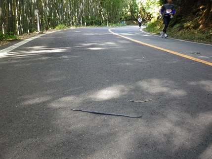 e0048994_10451579.jpg