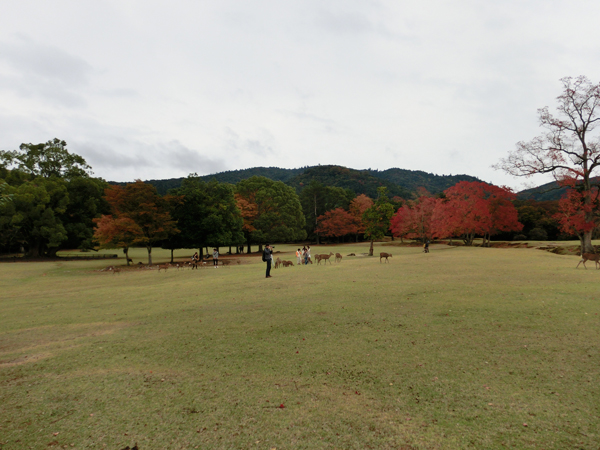 e0131399_22274347.jpg