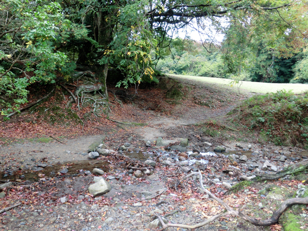 e0131399_22482647.jpg