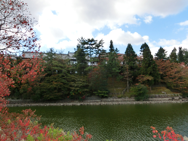 e0131399_226141.jpg