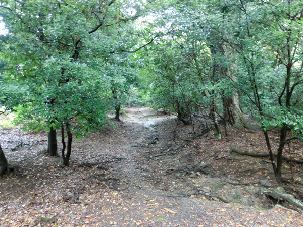 e0131399_2302121.jpg