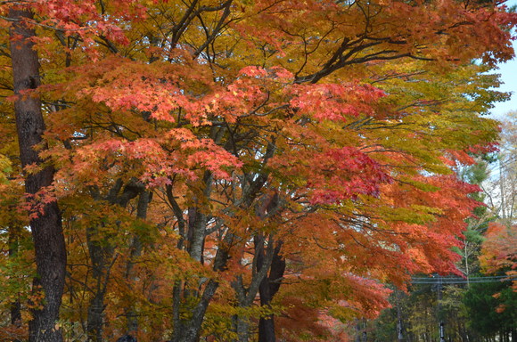 a0288500_2115278.jpg