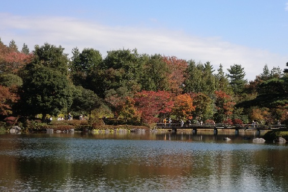 秋の国営昭和記念公園と、肉フェスへ_d0299604_8474544.jpg