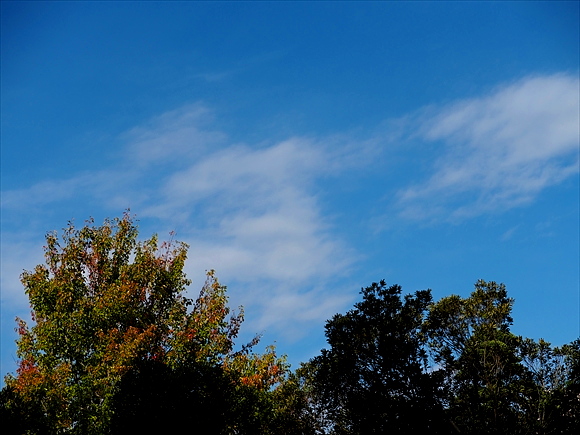 e0242804_23121385.jpg
