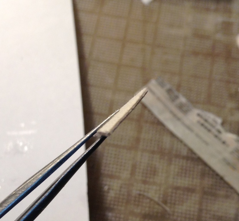 レイシキ_b0189209_21284929.jpg