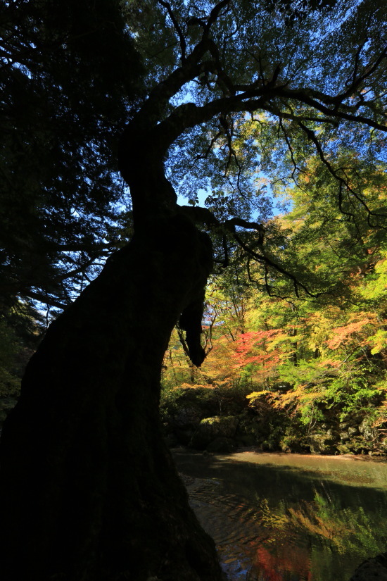 小田深山の紅葉　９_e0274411_21442850.jpg