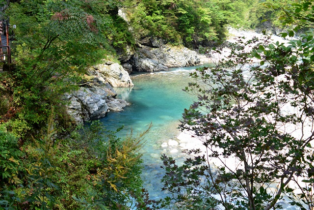 f0046614_22553550.jpg