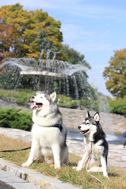 昭和記念公園はハス率高し!!_b0207615_23325948.jpg