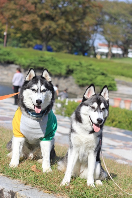 昭和記念公園はハス率高し!!_b0207615_23330266.jpg