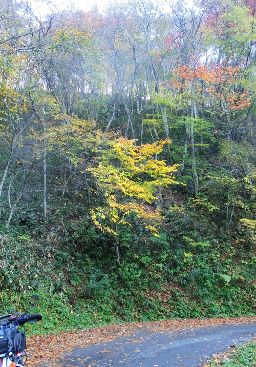 f0248120_21164239.jpg