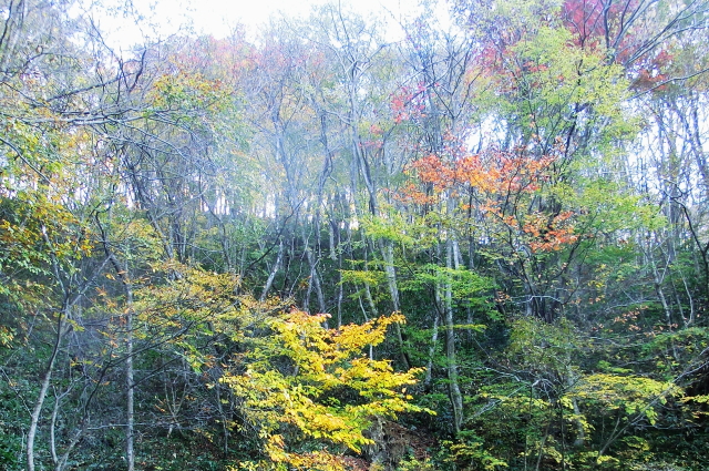 f0248120_2116519.jpg