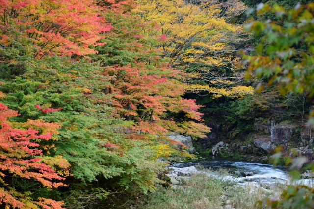 f0248120_21171531.jpg