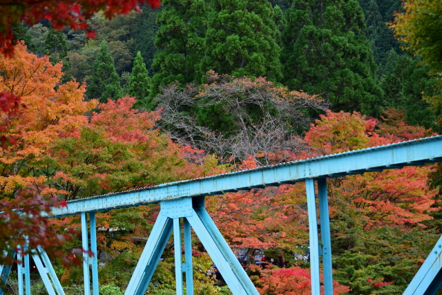 f0248120_21173711.jpg