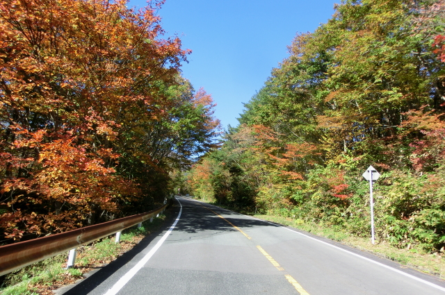 f0248120_2143593.jpg