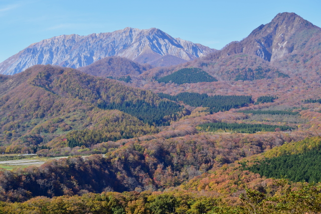 f0248120_2163213.jpg