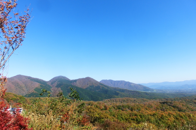 f0248120_2165767.jpg