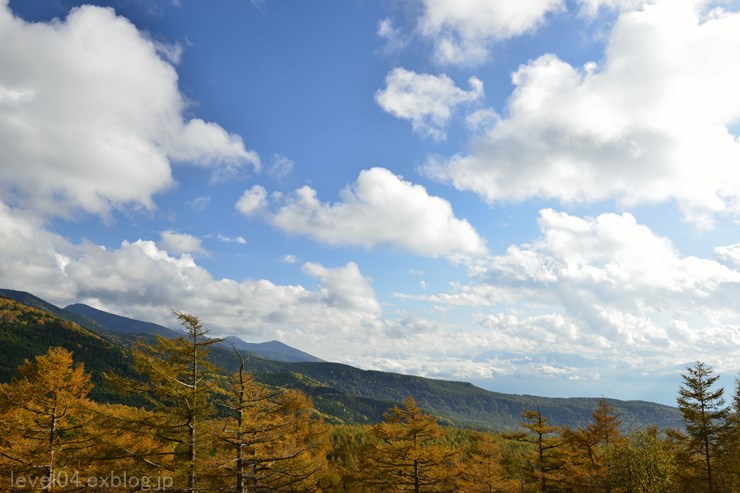 メルヘン街道 日向木場展望台 ～紅葉～ 2_d0319222_9131210.jpg