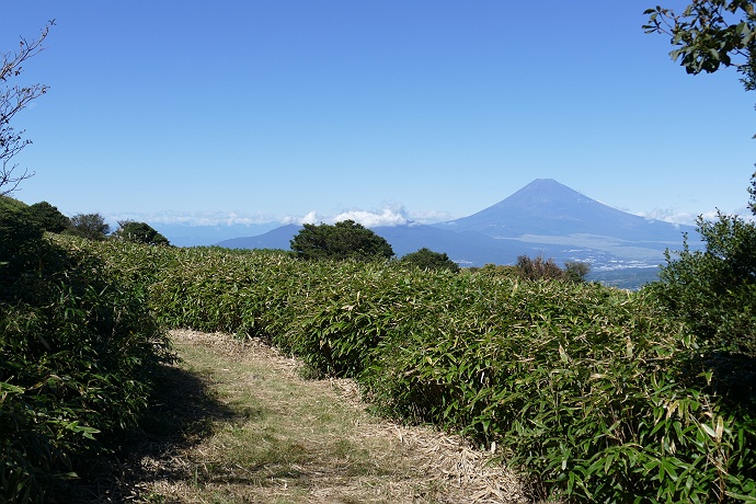 伊豆・玄岳ハイクコース　その５_c0196928_840013.jpg