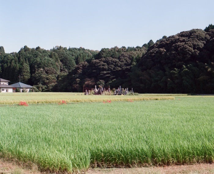 ばけぺんを提げて自転車で走る_a0255730_08033976.jpg