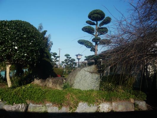 紺碧の空・・・庭の植木も綺麗にカット❤_a0206332_9315240.jpg