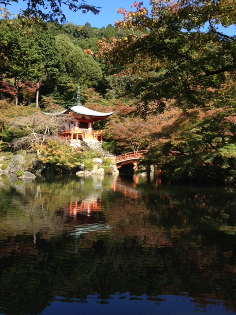 海のつぎは~山へ_a0258233_1714419.jpg