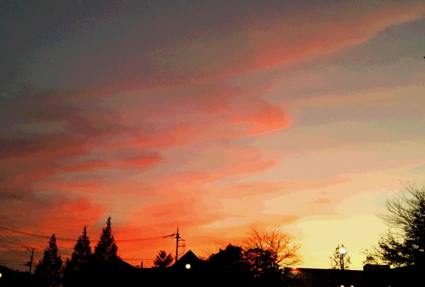f0002833_183651.jpg