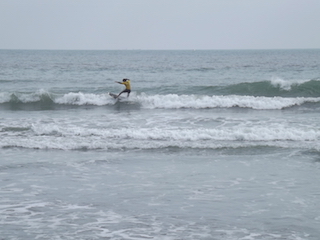 f0248337_1411596.jpg
