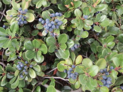 c0097838_17144081.jpg