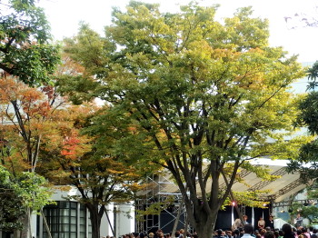 c0097838_17332619.jpg