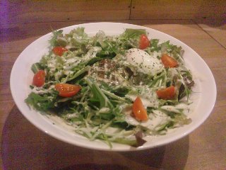 blog:ライオンの笑顔_a0103940_19381056.jpg