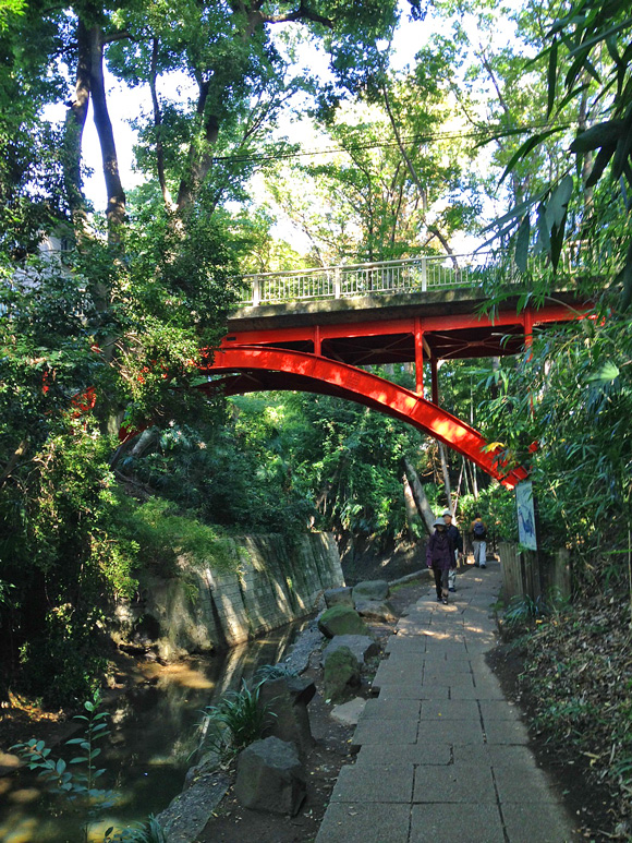 渓谷_e0172847_8373722.jpg