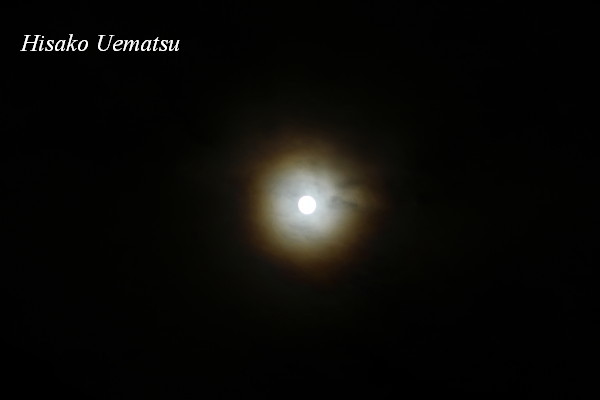 c0121953_20163634.jpg