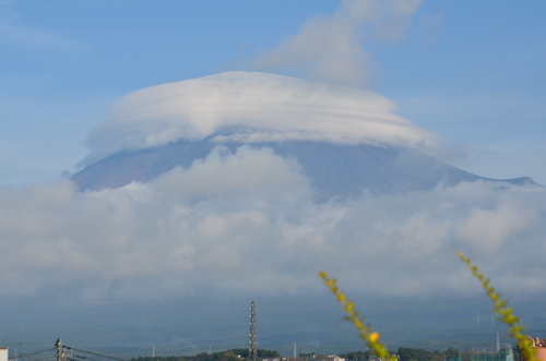 d0178656_22471457.jpg