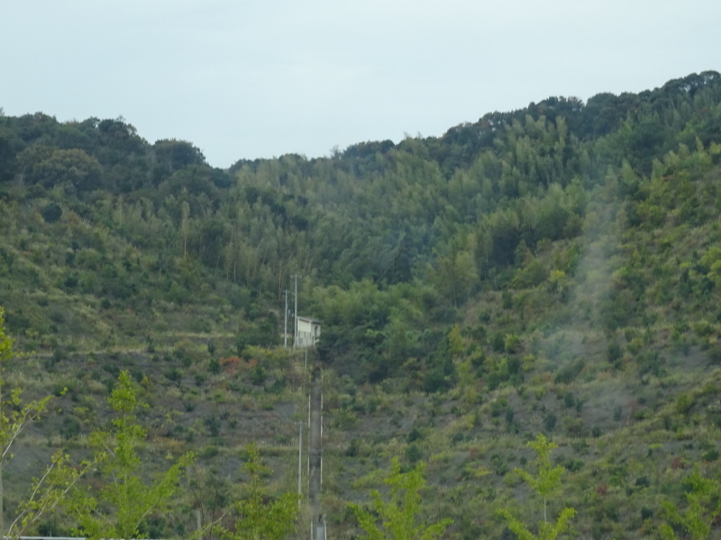 c0108460_16231606.jpg