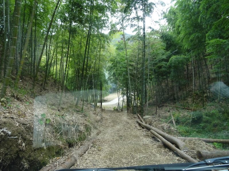 c0108460_16285727.jpg