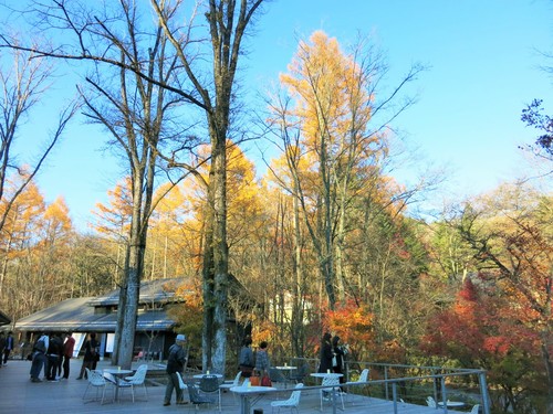 錦秋の軽井沢を満喫する日帰りプラン☆雲場池よりスタート♪_f0236260_0122231.jpg