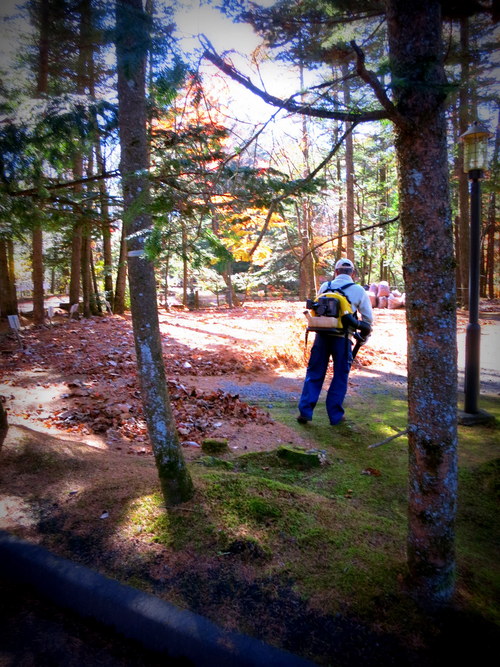 f0236260_09078.jpg