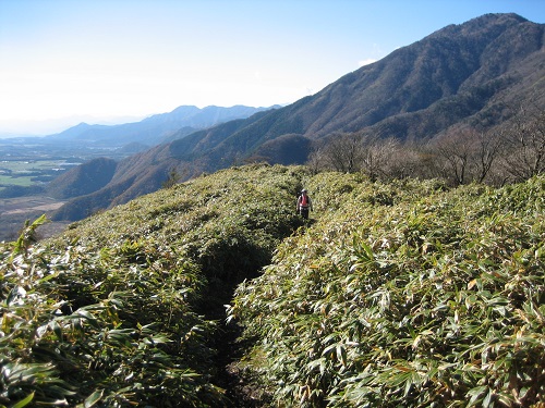 竜ヶ岳（紅葉・富士山）_d0164761_10285920.jpg