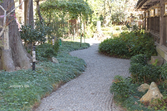 e0283472_12305587.jpg
