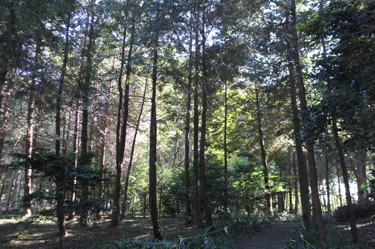 e0283472_12315325.jpg