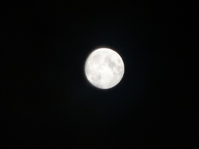d0147774_21304323.jpg