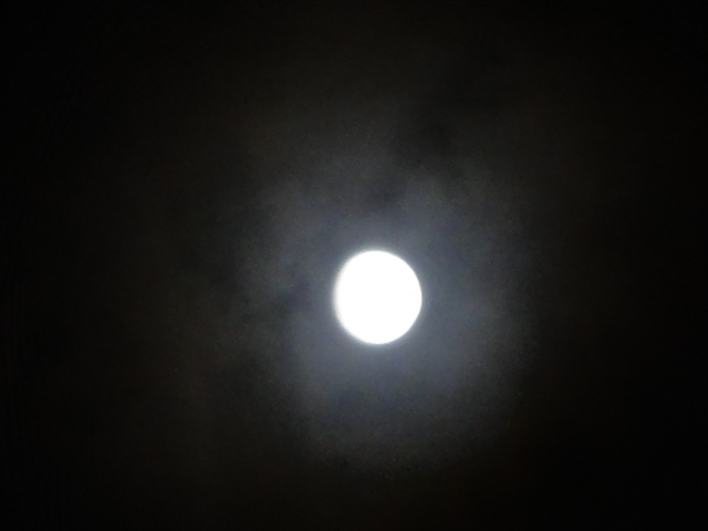 d0147774_2131068.jpg