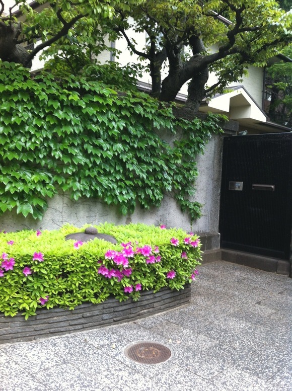 a0152078_8142721.jpg
