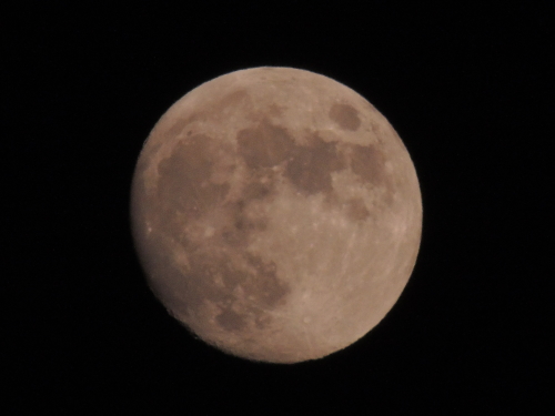 f0357183_19375780.jpg