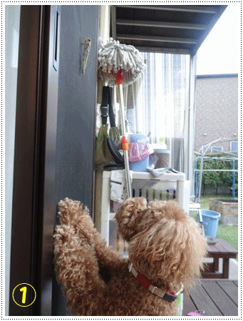 b0175688_20235078.gif