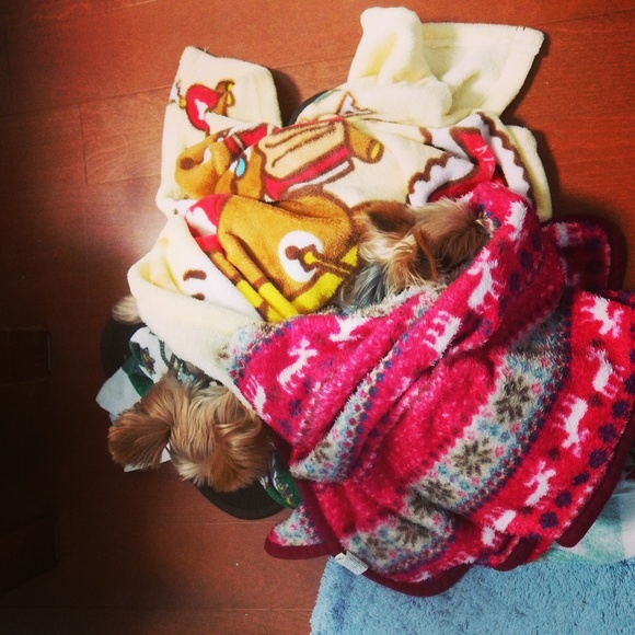 c0191390_2134018.jpg