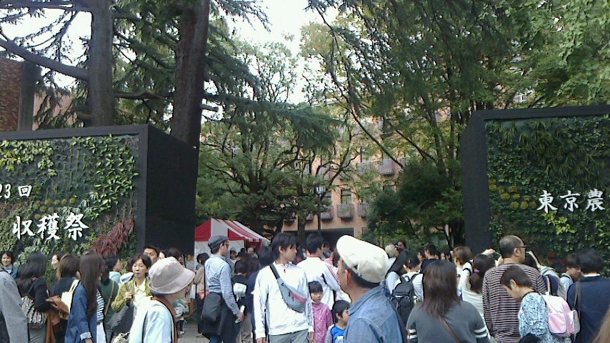 e0148691_11205220.jpg