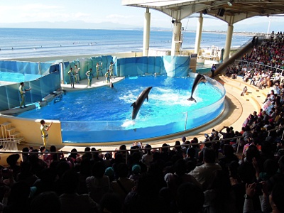 海のモチーフをリサーチ_b0055196_9265381.jpg