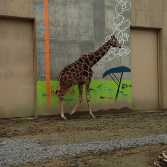 旭山動物園_b0198696_00414917.jpg